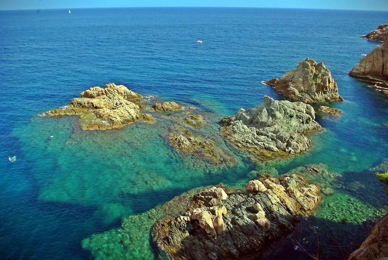 Apartment Lets Holidays Estrella Pelegri 2 Tossa de Mar Spain